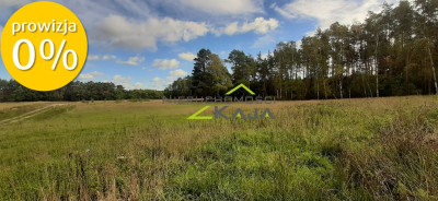 Atrakcyjnie położona działka w gminie Świdnica - Grabowiec  -
Lubuskie Zdjęcie nr 5