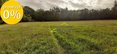 Atrakcyjnie położona działka w gminie Świdnica - Grabowiec  -
Lubuskie Zdjęcie nr 6