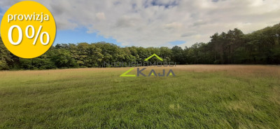 Atrakcyjnie położona działka w gminie Świdnica - Grabowiec  -
Lubuskie Zdjęcie nr 8