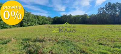 Atrakcyjnie położona działka przy lesie - Grabowiec  - Lubuskie