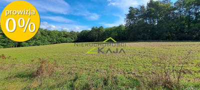 Atrakcyjnie położona działka przy lesie - Grabowiec  -
Lubuskie Zdjęcie nr 4