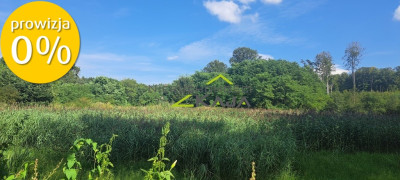 Urokliwie położona działka z lasem i stawem - Nowe Biskupice  -
Lubuskie Zdjęcie nr 2