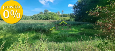 Urokliwie położona działka z lasem i stawem - Nowe Biskupice  -
Lubuskie Zdjęcie nr 5