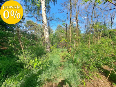 Działka pod zabudowę - Wilkanowo - Wilkanowo  - Lubuskie