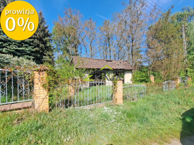 Działka pod zabudowę - Wilkanowo - Wilkanowo  -
Lubuskie Zdjęcie nr 5