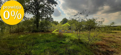 Urokliwa działka z widokiem na las- Letnica - Letnica  -
Lubuskie Zdjęcie nr 3