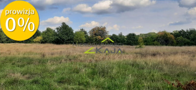 Urokliwa działka z widokiem na las- Letnica - Letnica  -
Lubuskie Zdjęcie nr 4