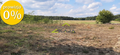 Urokliwa działka z widokiem na las- Letnica - Letnica  -
Lubuskie Zdjęcie nr 7