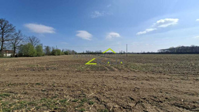 Zamieszkaj blisko natury - działka 1217m2 z WZ - Jesiona  -
Lubuskie Zdjęcie nr 2