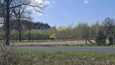 Zamieszkaj blisko natury - działka 1217m2 z WZ - Jesiona  -
Lubuskie Zdjęcie nr 5