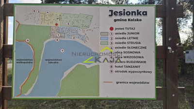 Zamieszkaj blisko natury - działka 1217m2 z WZ - Jesiona  -
Lubuskie Zdjęcie nr 6