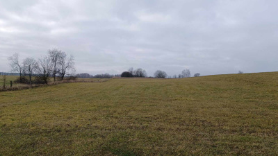 Działka ok. Mikołajek jezioro  Probarskie -
warmińsko-mazurskie Zdjęcie nr 4