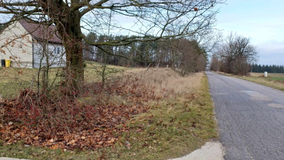 Działka ok. Mikołajek jezioro  Probarskie -
warmińsko-mazurskie Zdjęcie nr 3