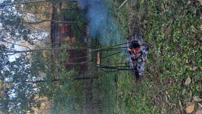 Siedlisko SPRZEDAM -
kujawsko-pomorskie Zdjęcie nr 2