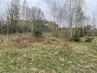 impregnat@protonmail.com - Mazowieckie