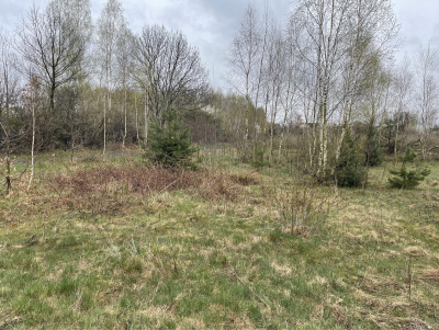 Sprzedam działkę budowlaną z warunkami zabudowy -
Mazowieckie Zdjęcie nr 3