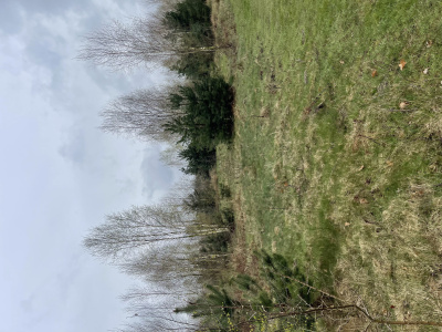 Sprzedam działkę budowlaną z warunkami zabudowy 125 km od Warszawy -
Mazowieckie Zdjęcie nr 13