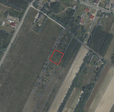 Sprzedam działkę budowlaną z warunkami zabudowy 125 km od Warszawy -
Mazowieckie Zdjęcie nr 8