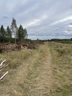 Sprzedam działkę budowlaną z warunkami zabudowy pow. 1124 m2 -
Mazowieckie Zdjęcie nr 3