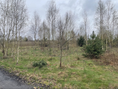 Sprzedam działkę budowlaną z warunkami zabudowy pow. ok. 1200 m2 -
Mazowieckie Zdjęcie nr 4