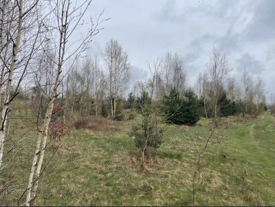 Sprzedam działkę budowlaną z warunkami zabudowy pow. ok. 1200 m2 -
Mazowieckie Zdjęcie nr 5