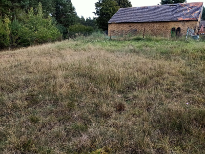 Działka 1 436 m², Świbinki -
lubuskie Zdjęcie nr 5