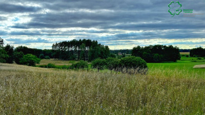 Na sprzedaż działka inwestycyjna - Budziszewice -
wielkopolskie Zdjęcie nr 10