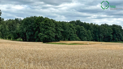 Na sprzedaż działka inwestycyjna - Budziszewice -
wielkopolskie Zdjęcie nr 9