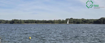 Na sprzedaż działka rekreacyjna - Szydłówiec -
wielkopolskie Zdjęcie nr 7