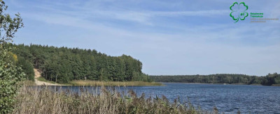 Na sprzedaż działka rekreacyjna - Szydłówiec -
wielkopolskie Zdjęcie nr 8