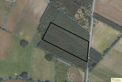 Działki leśne w Klimkach k Łuków - Klimki  - lubelskie