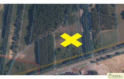 Działka przemysłowa z możliwością podziału Polaki - Polaki  -
mazowieckie Zdjęcie nr 5