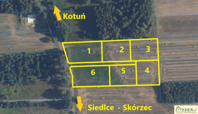 6 działek wydane WZ w Chlewiskach gm Kotuń - Chlewiska  -
mazowieckie Zdjęcie nr 2