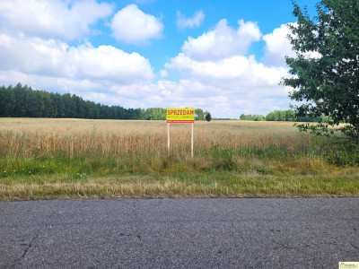 Okazja Działka budowlano-rolna Strzyżew k Łuków - Strzyżew  - lubelskie