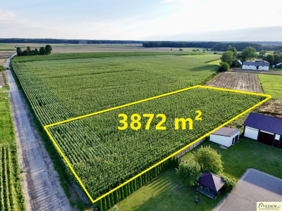 Działka pod budowę domu- Daćbogi gm Wiśniew - Daćbogi  -
mazowieckie Zdjęcie nr 2