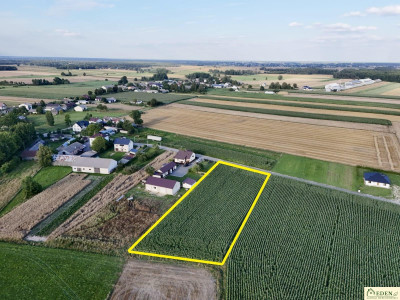 Działka pod budowę domu- Daćbogi gm Wiśniew - Daćbogi  -
mazowieckie Zdjęcie nr 3