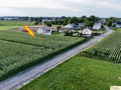 Działka pod budowę domu- Daćbogi gm Wiśniew - Daćbogi  -
mazowieckie Zdjęcie nr 4