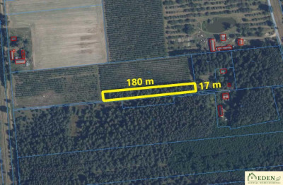Na sprzedaż działka w Oleśnicy gm Wodynie - Oleśnica  -
mazowieckie Zdjęcie nr 4