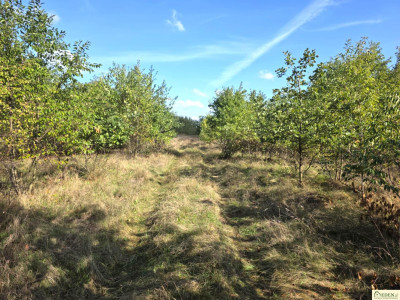 Działka budowlana - Łuków  -
lubelskie Zdjęcie nr 14