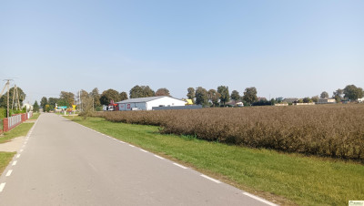 Działka budowlana 32 ary przy DK nr 63 - Stok  -
lubelskie Zdjęcie nr 5