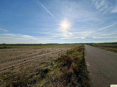 Na sprzedaż działki Tończa-Janówki - Tończa  -
mazowieckie Zdjęcie nr 2