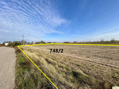 Na sprzedaż działki Tończa-Janówki - Tończa  -
mazowieckie Zdjęcie nr 3