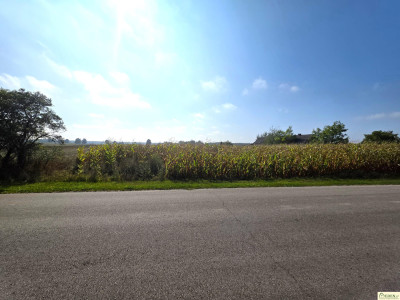 Kownatki działki bud-rol łącznie 504 ha - Kownatki  -
lubelskie Zdjęcie nr 3