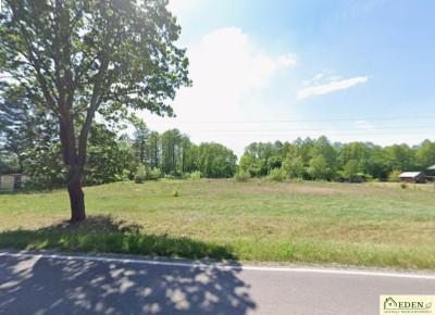 Działki inwestycyjne przy DW803ze stawem Zgórznica - Zgórznica  - lubelskie