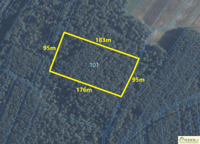 Atrakcyjna działka leśna o powierzchni 177 ha gm Krzywda - Orle Gniazdo  - lubelskie