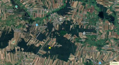 Atrakcyjna działka leśna o powierzchni 177 ha gm Krzywda - Orle Gniazdo  -
lubelskie Zdjęcie nr 6