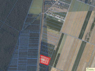 OSTATNIA Działka w Krynce k Łuków OKAZJA - Krynka  -
lubelskie Zdjęcie nr 5