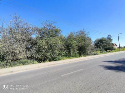 Na sprzedaż działka przemysłowa - Smogóry - lubuskie