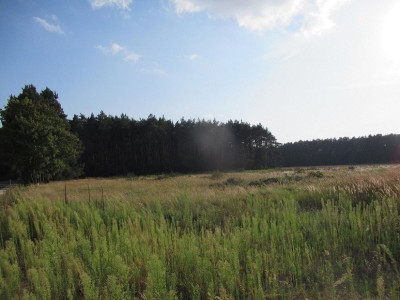 Na sprzedaż działka budowlana - Rakowo - wielkopolskie