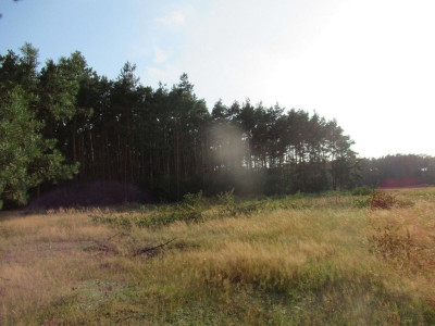 Na sprzedaż działka budowlana - Rakowo -
wielkopolskie Zdjęcie nr 2